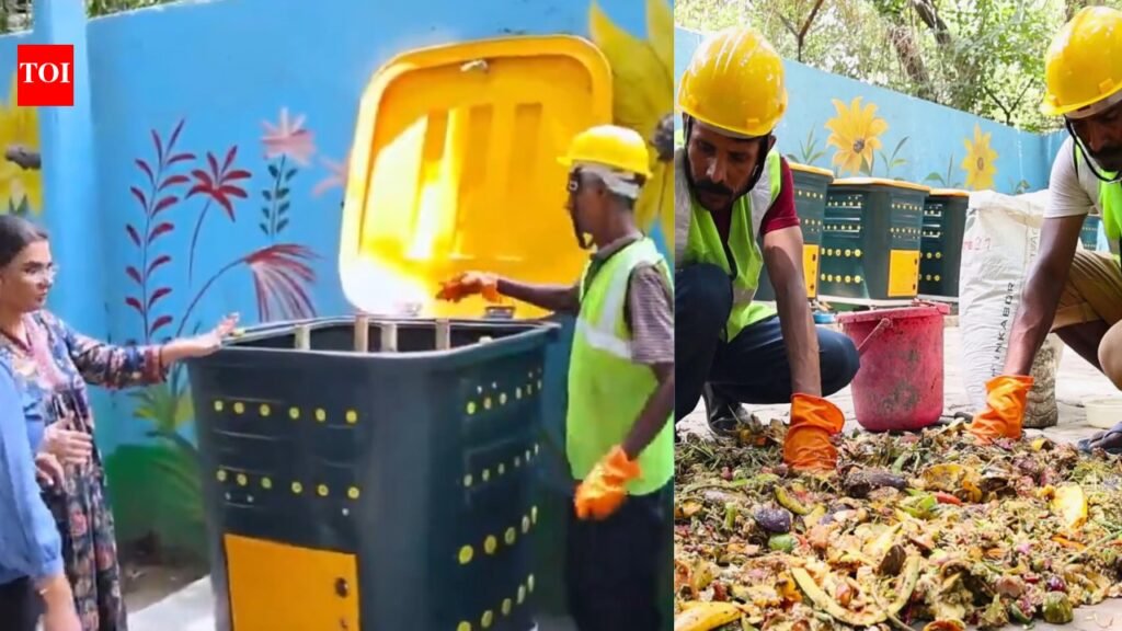 Delhi colony’s zero-waste experiment: How 280 families are keeping garbage out of landfills | Delhi News