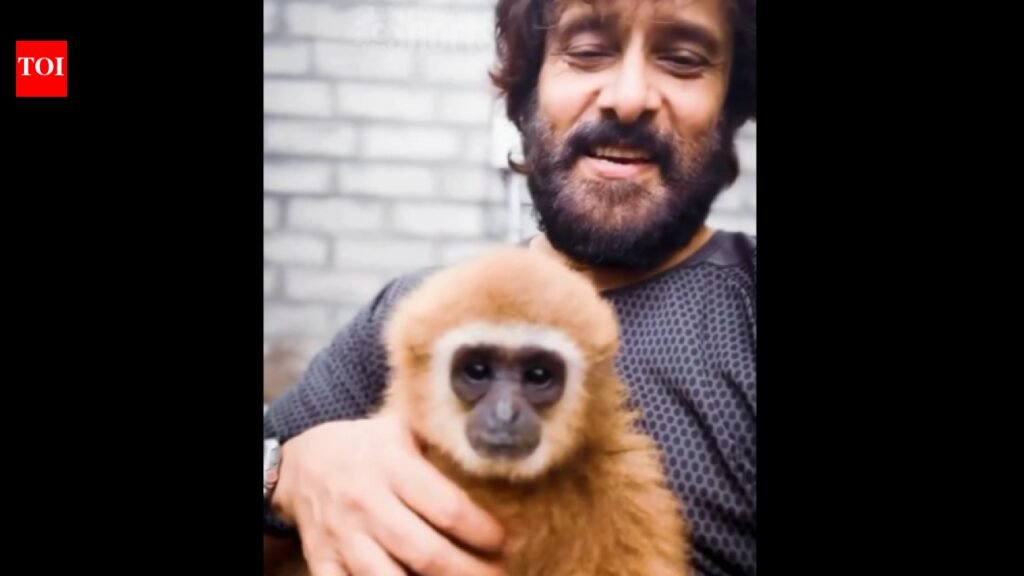 Actor Vikram flaunts lar gibbon; conservationists raise red flag | Chennai News