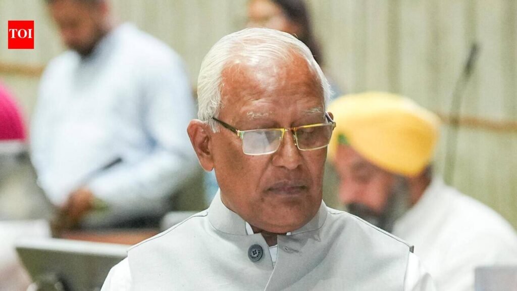 Punjab strengthening flood protection infra along Beas, Sutlej: Minister | Chandigarh News