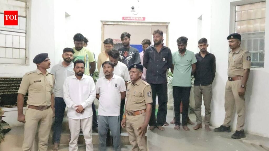 AAP workers among 13 held for stone-pelting | Vadodara News