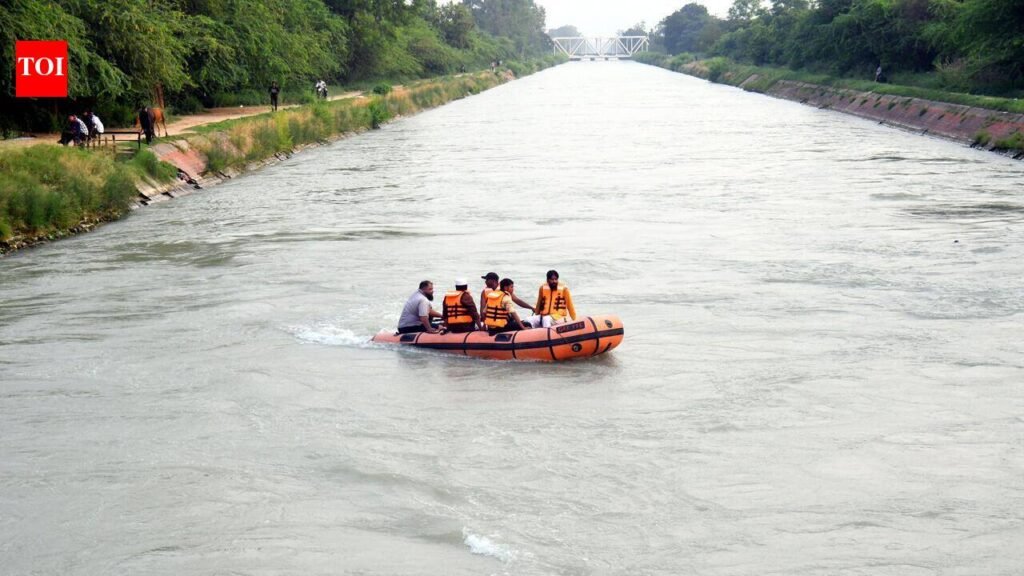 17-year-old swept away in Bhakra canal | Chandigarh News
