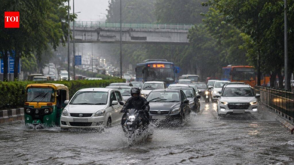 What is trending in Delhi today: 49mm rain, traffic chaos, more showers | Delhi News