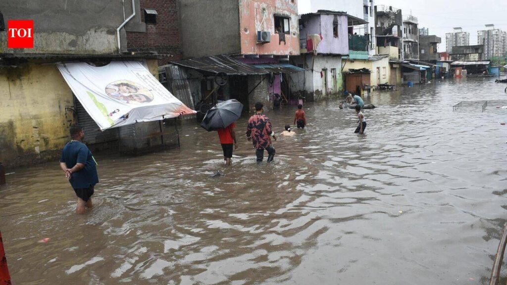 SMC completes 180-km survey of city’s creek network | Surat News
