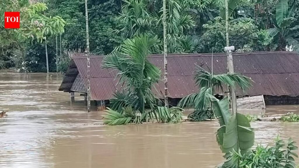 Hill torrents, not the B’putra, unleashed floods on Assam: Study | Guwahati News