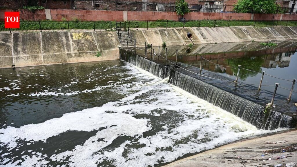 JDA orders stretch-wise inspection of Dravyavati river project works | Jaipur News