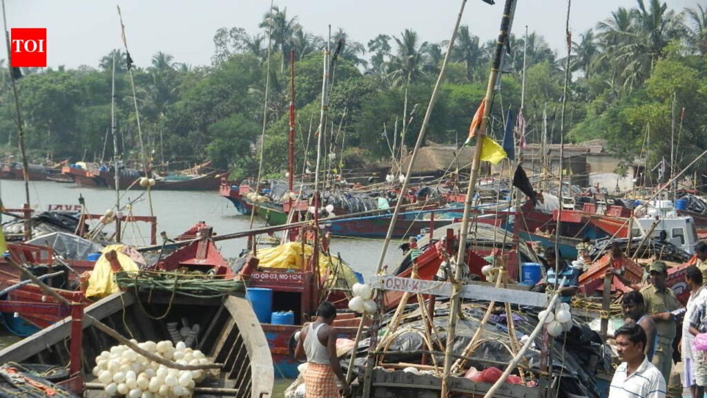Nerul fisherman drowns off Sinquerim | Goa News