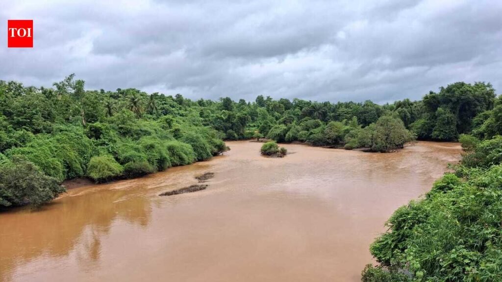 Siltation threatens Mhadei river in Sattari | Goa News