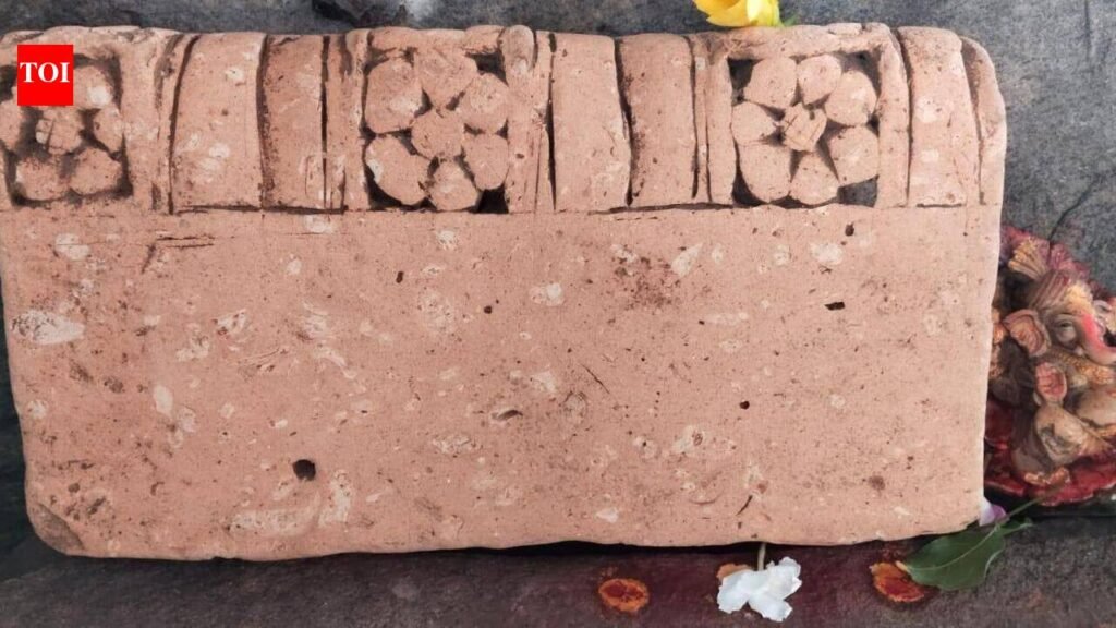 Chance encounter opens portal to Mayong’s archaeological past | Guwahati News