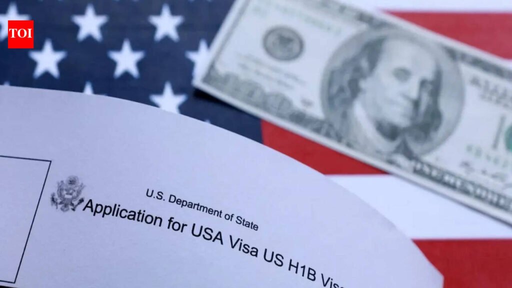 A visa application, a ‘fake’ degree and a trail of borrowed wealth | Delhi News