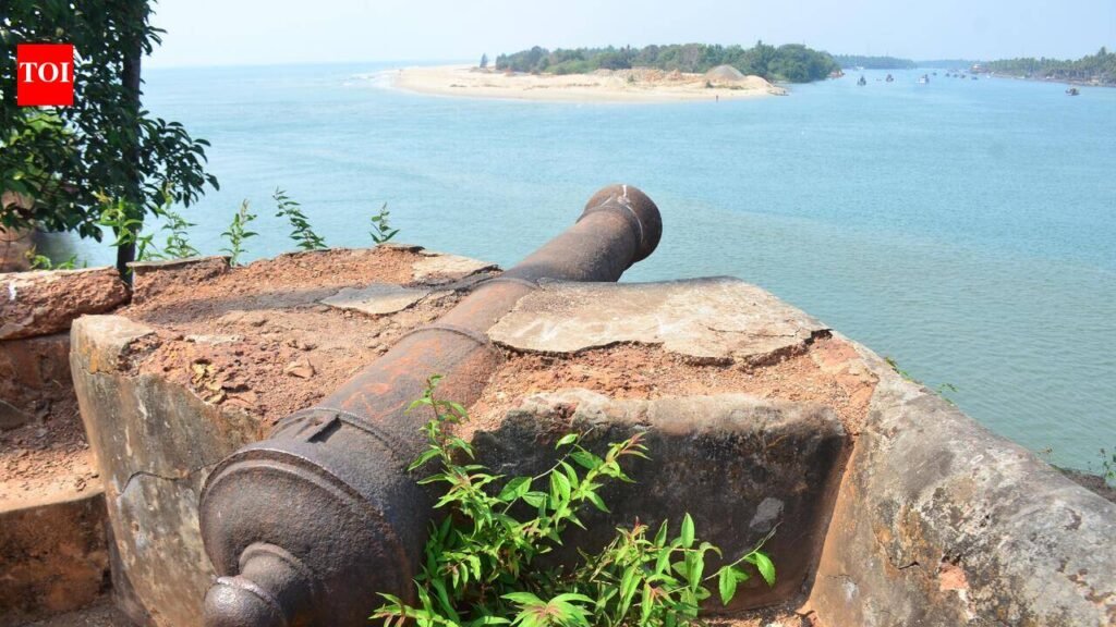 Local fishermen oppose dredging of Betul river | Goa News