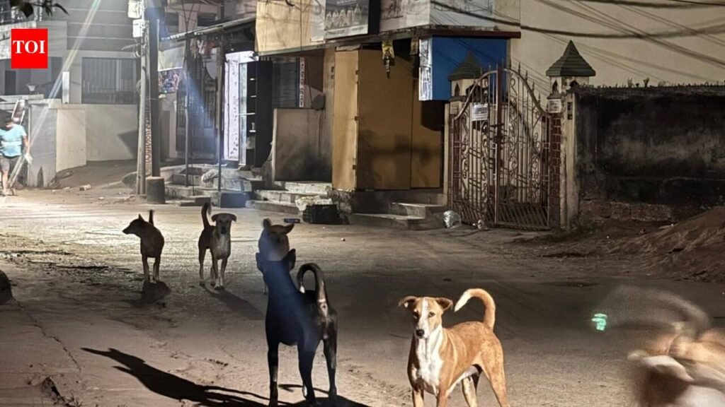 23 institutions for differently-abled flagged over stray dog safety lapses