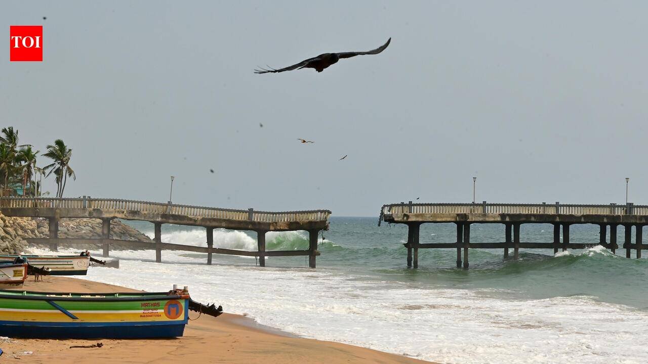 Valiyathura maritime hub project shelved after maritime board dissolution
