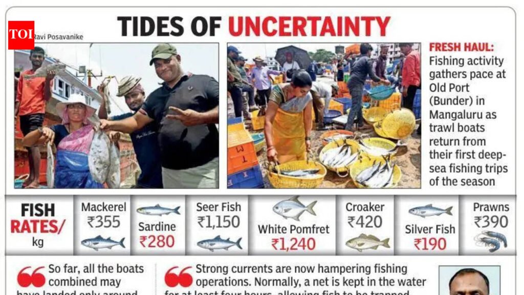 Rough seas, strong currents hit trawler catch off DK coast