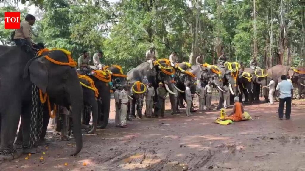 Subdued Elephant Day celebrations at Sakrebailu