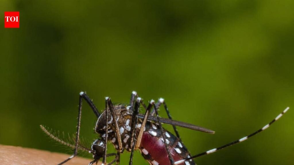 To combat dengue, city divided into seven zones