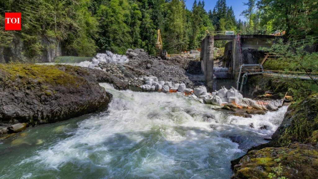 The United States removed 100 outdated dams in 2025, reconnecting more than 4,893 river miles across 30 states and setting a single-year record for upstream habitat