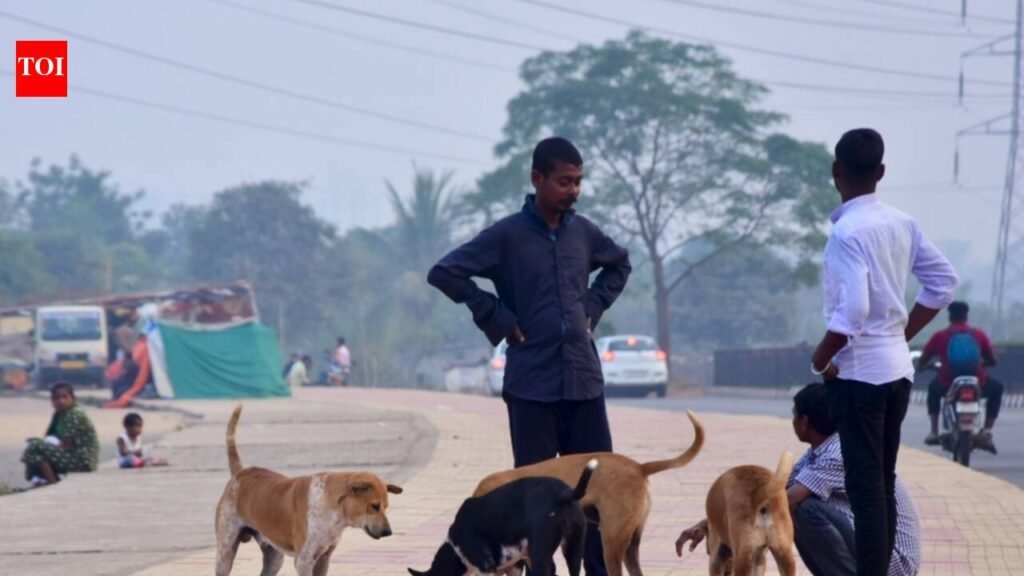 Stray dog attacks student on Balasore school premises, sparks protest