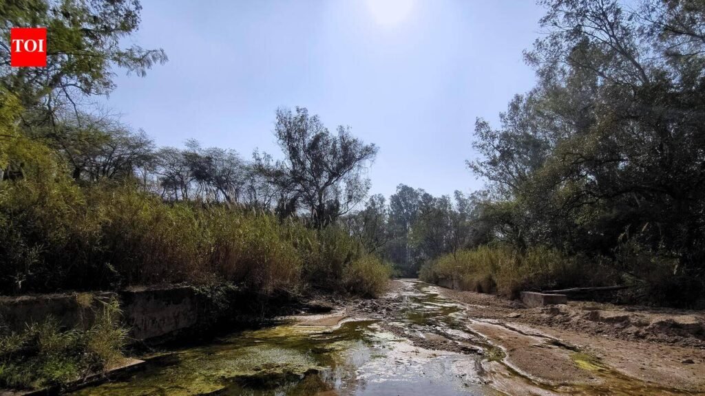 Sukhna feeder canal to get soil erosion study