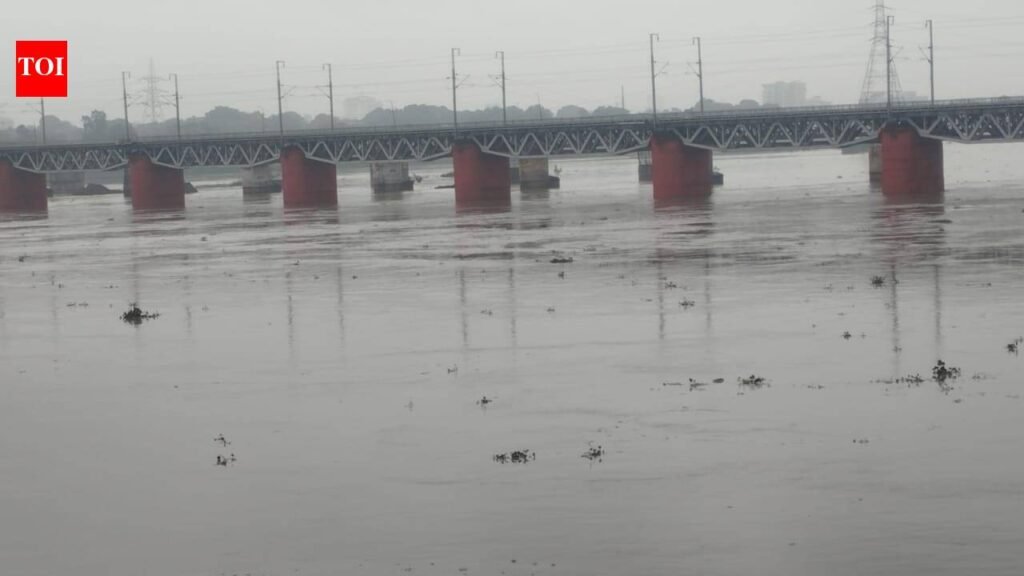 Ganga crosses warning level in Unnao; water engulfs low-lying areas
