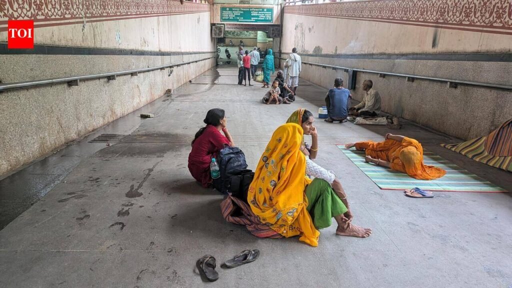 Jaipur’s pedestrian underpasses turn into shelters, unused spaces