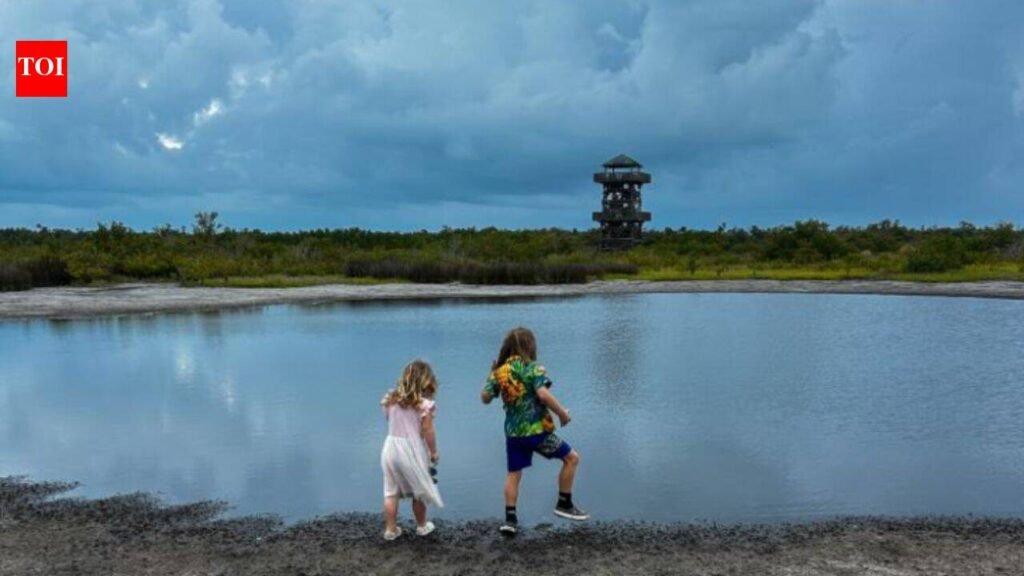 Florida spent about $17 million transforming degraded farmland near Tampa Bay into Robinson Preserve, a 700-acre coastal refuge that now draws about 240,000 visitors annually