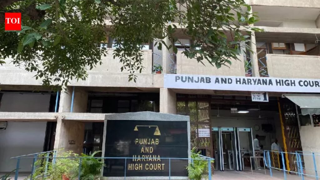 HC stays Punjab State Rural Livelihoods Mission selection process, flags ‘anomalies, ambiguities’ in marks