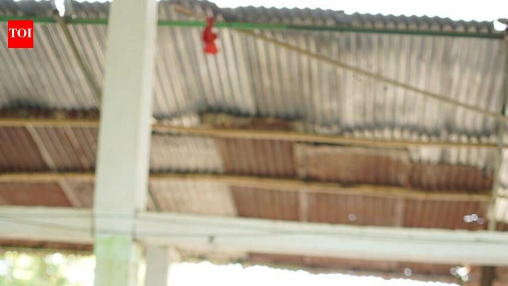 Assam’s flood-hit villagers get a grooming break