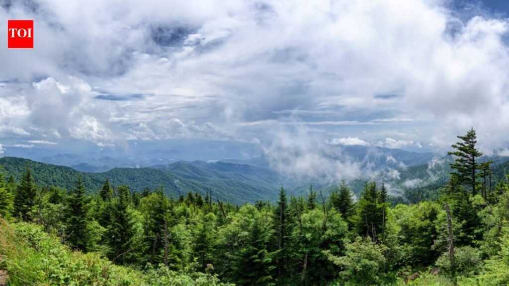 In 1929, a Tennessee farmer refused $20 an acre for 375 acres wanted for Great Smoky Mountains National Park; after years in court, he received $17,000 and lost the farm
