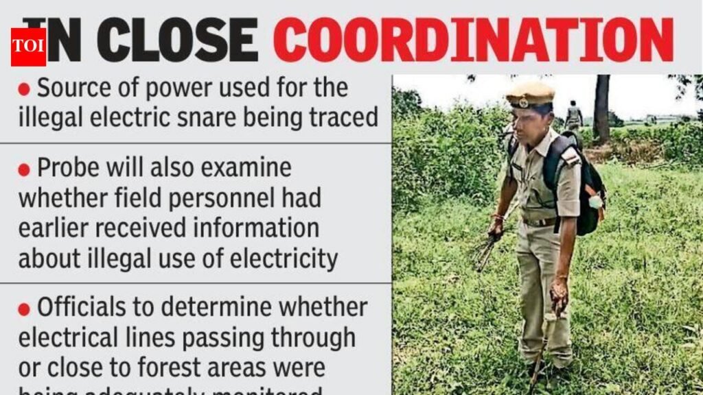 Hunt on for poachers, power source of electric snare under probe
