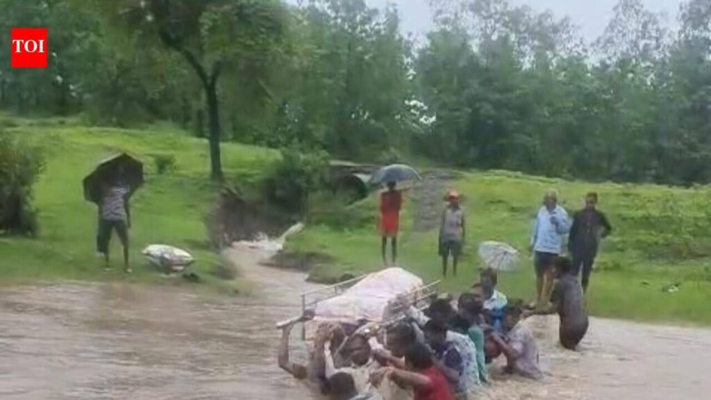 Dahanu bridge project stalled due to lack of funds, says zilla parishad after TOI report on family carrying body across swollen river to cremation ground