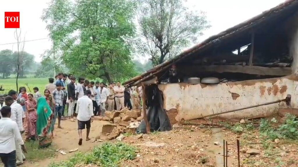 Two siblings die in wall collapse in Mahisagar