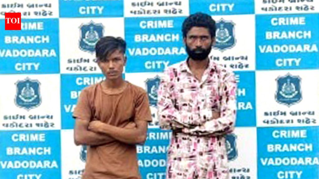 Two repeat offenders held for theft
