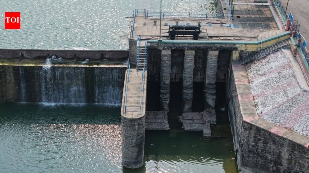 140-year-old Parichha Dam gets global heritage tag, to be felicitated in France