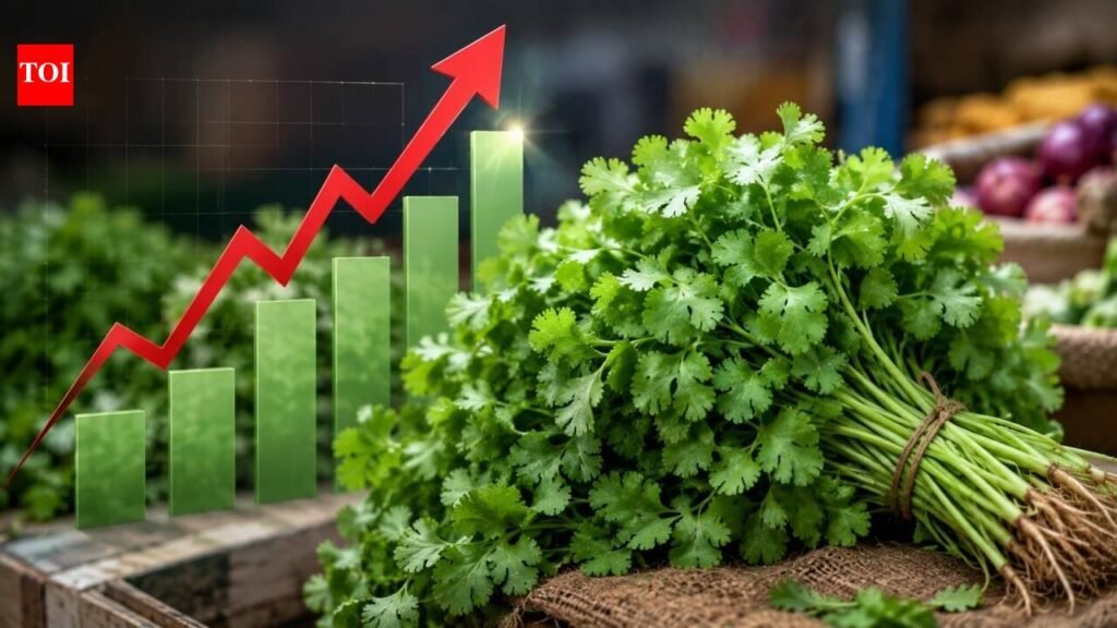 Your humble dhaniya is no longer free! Coriander prices rise above Rs 200 kg as heavy rains disrupt supply