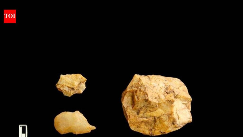 Madras University field visit leads to discovery of Stone Age site near Ranipet