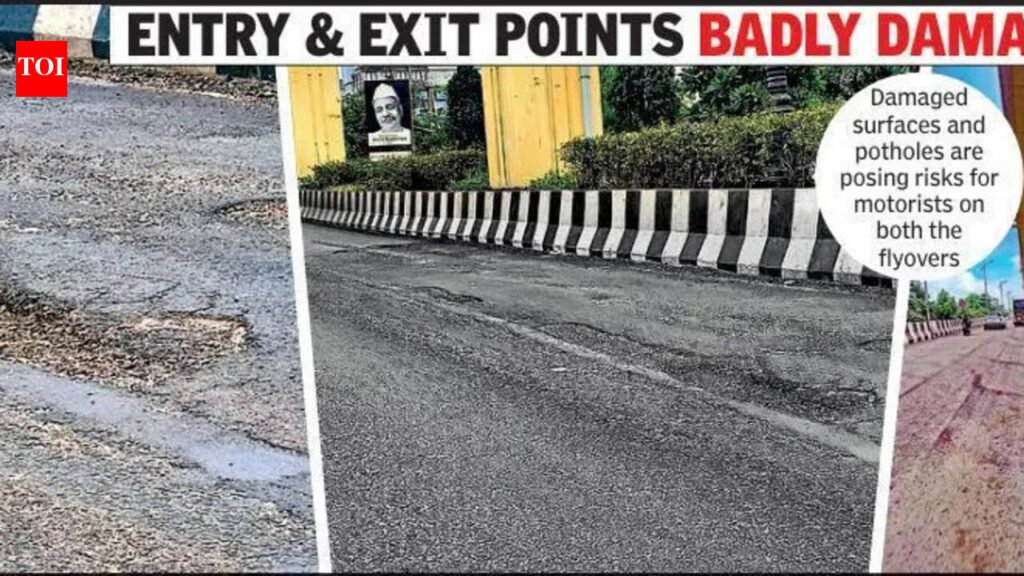 Engg Marvels? Potholes Batter Wardha & Kamptee Road Double-Decker Flyovers