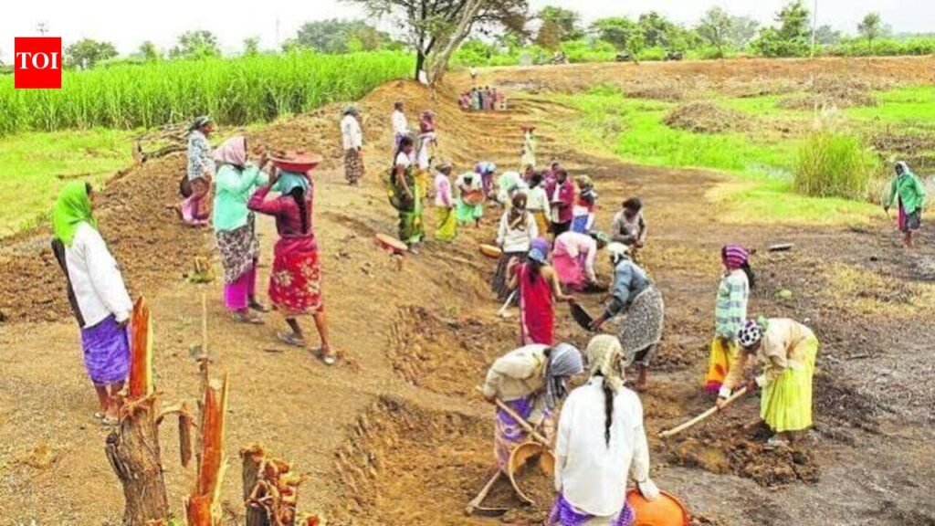 318 type of works approved under VB G-Ram-G Scheme