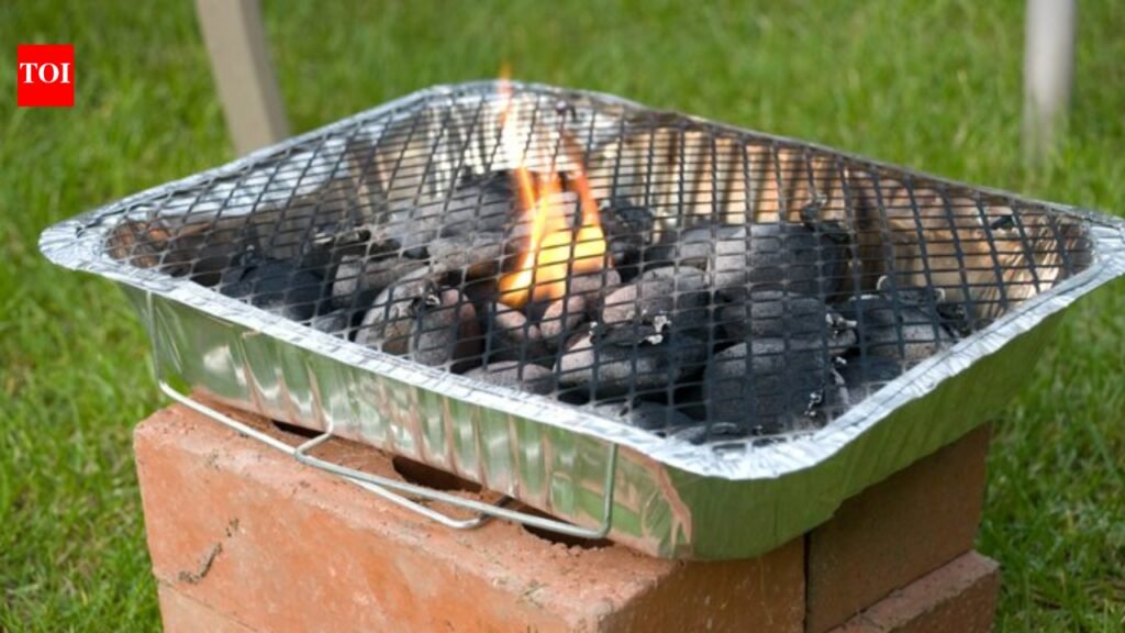 UK govt temporarily bans sale of disposable barbecues amid rising wildfire risk