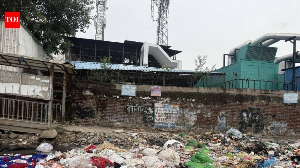 Safai strike enters 9th day, leaves Gurgaon reeking