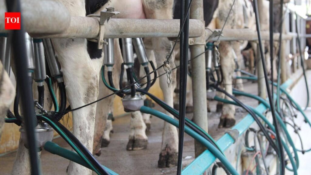 Milk prices rise by Rs 2/litre; milk products to be 8-10% more costly in Pune