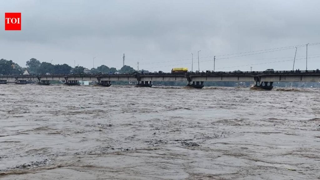 Koyel river inundates low-lying areas of Daltonganj after flash flood