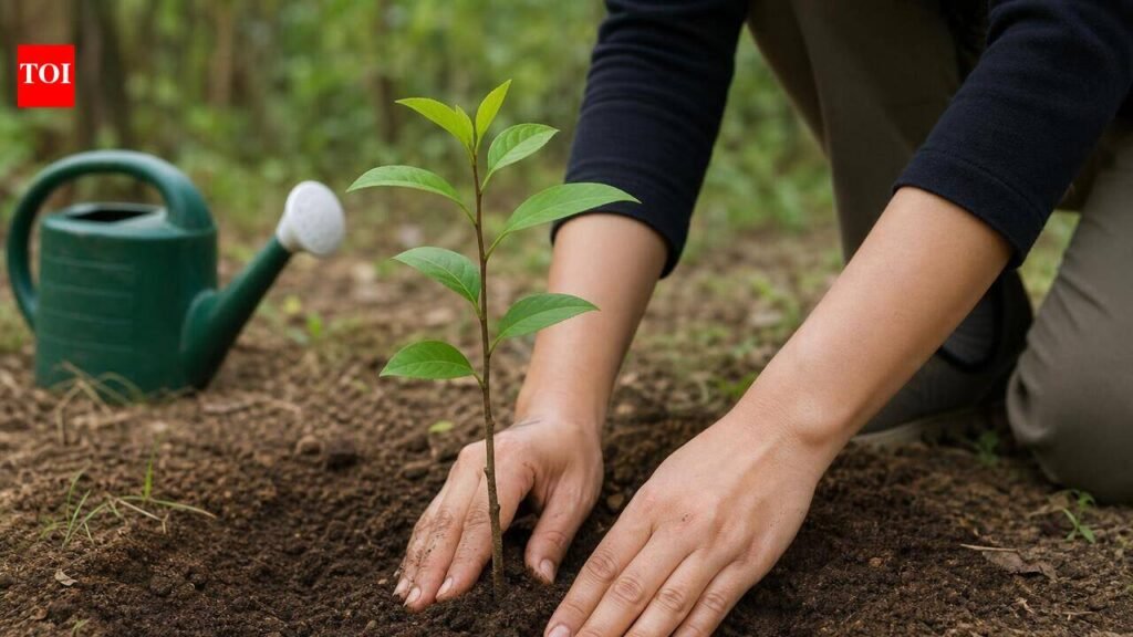 Ahmedabad’s ‘Mission Five Million Trees’ nears completion, over 88% target achieved