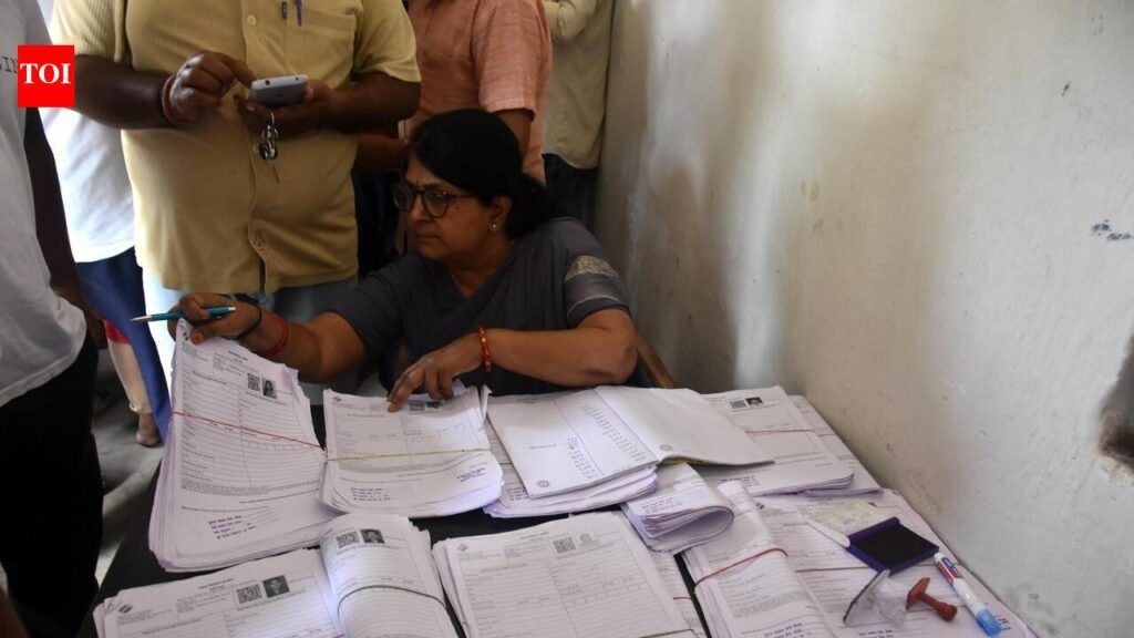 PMC health clerks on BLO duties struggle with routine work backlog