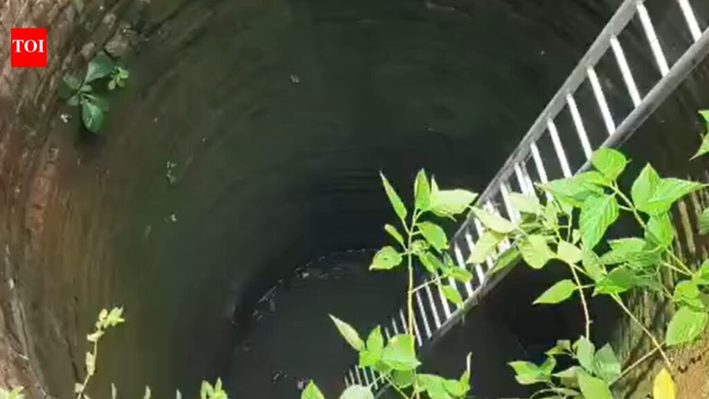 4 die after inhaling toxic gas while repairing motor inside well in Bihar
