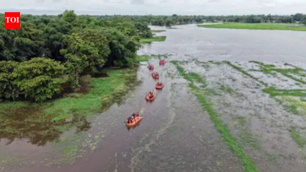 Toll rises to 104, over 78,000 affected across 7 districts