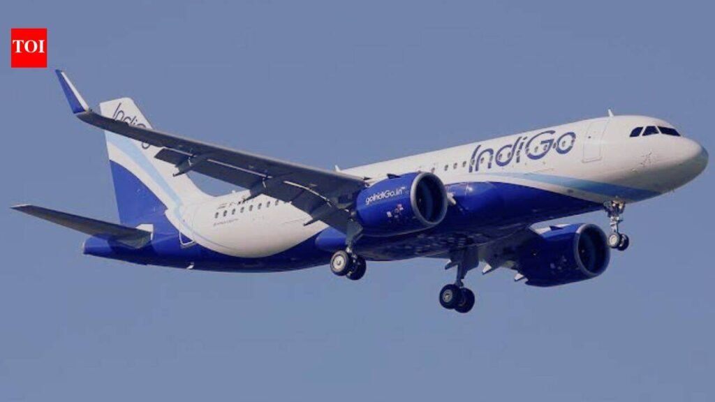 Flyer held for ‘bomb in my bag’ joke; IndiGo Mumbai-Delhi flight delayed by one hour