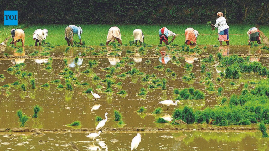 CM urges agri-entrepreneurship with local crops