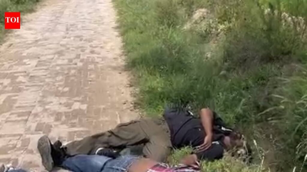 Two youths die of suspected drug overdose in Bathinda