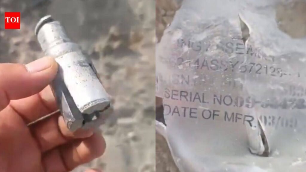 Baloch activist shares video of ‘Pakistani war crime’, seeks US intervention