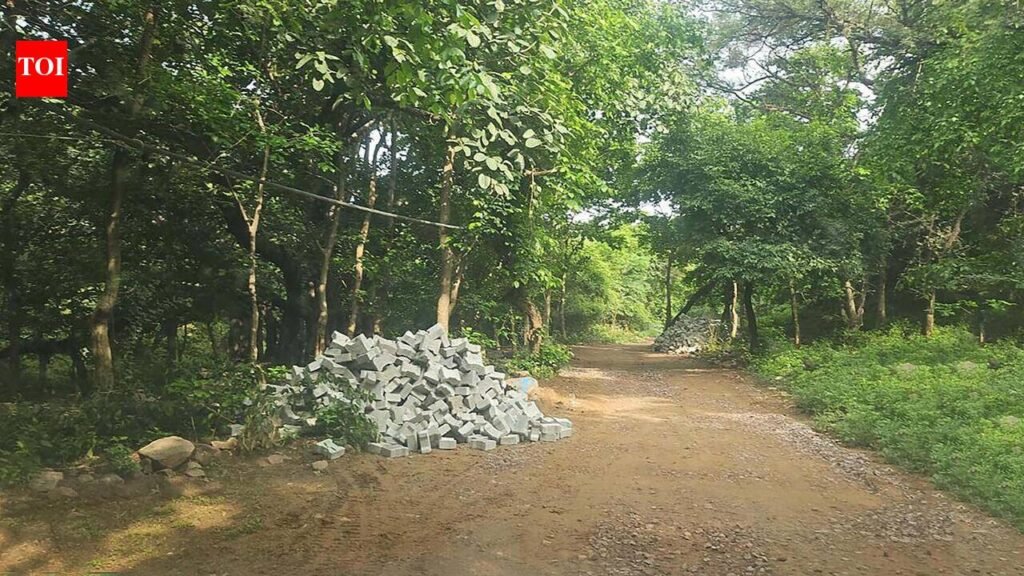 Road laid through Aravalis Mangar Bani core area despite official action